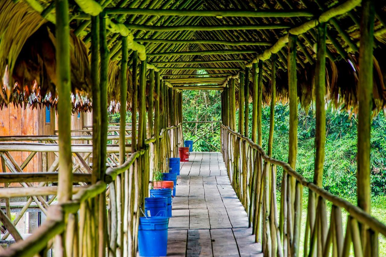 Amazon Muyuna Lodge Paraíso Eksteriør billede
