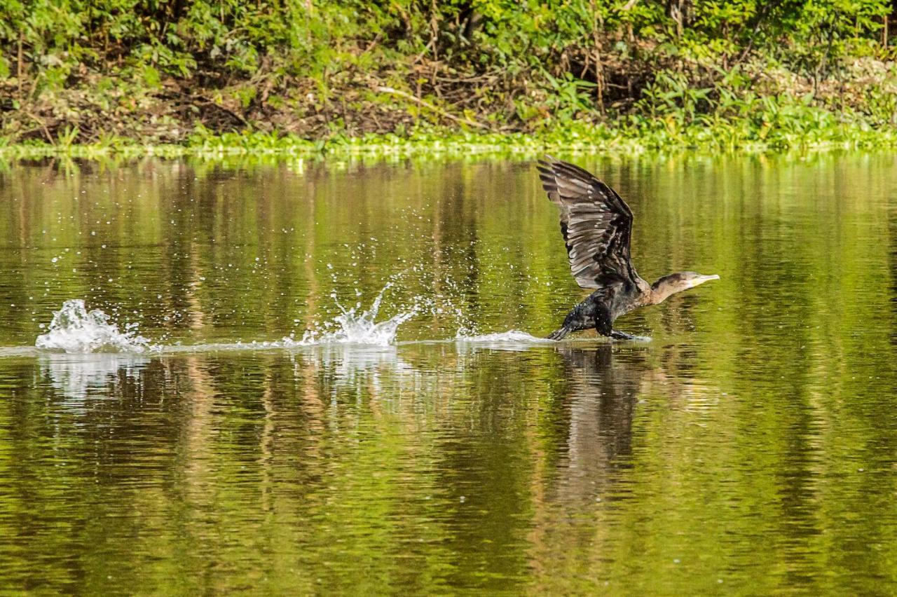 Amazon Muyuna Lodge Paraíso Eksteriør billede