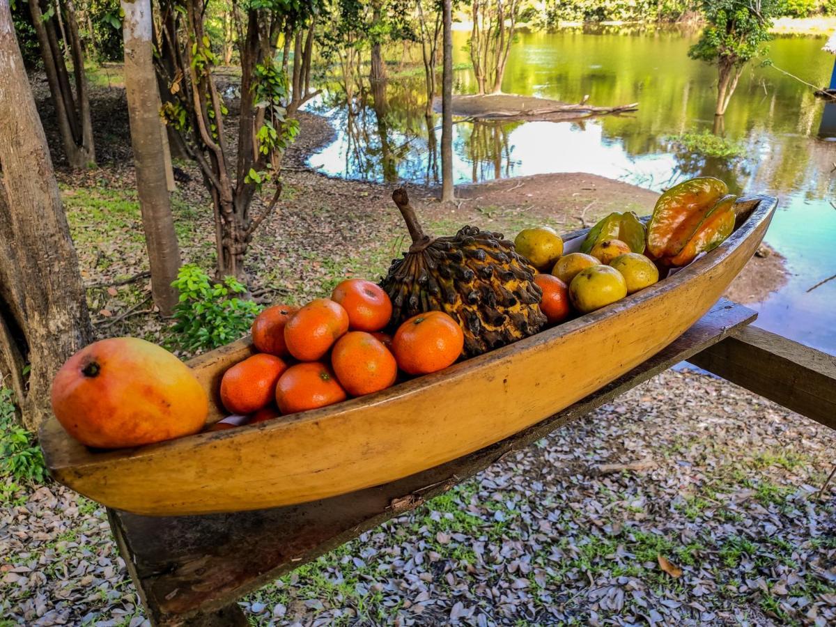 Amazon Muyuna Lodge Paraíso Eksteriør billede