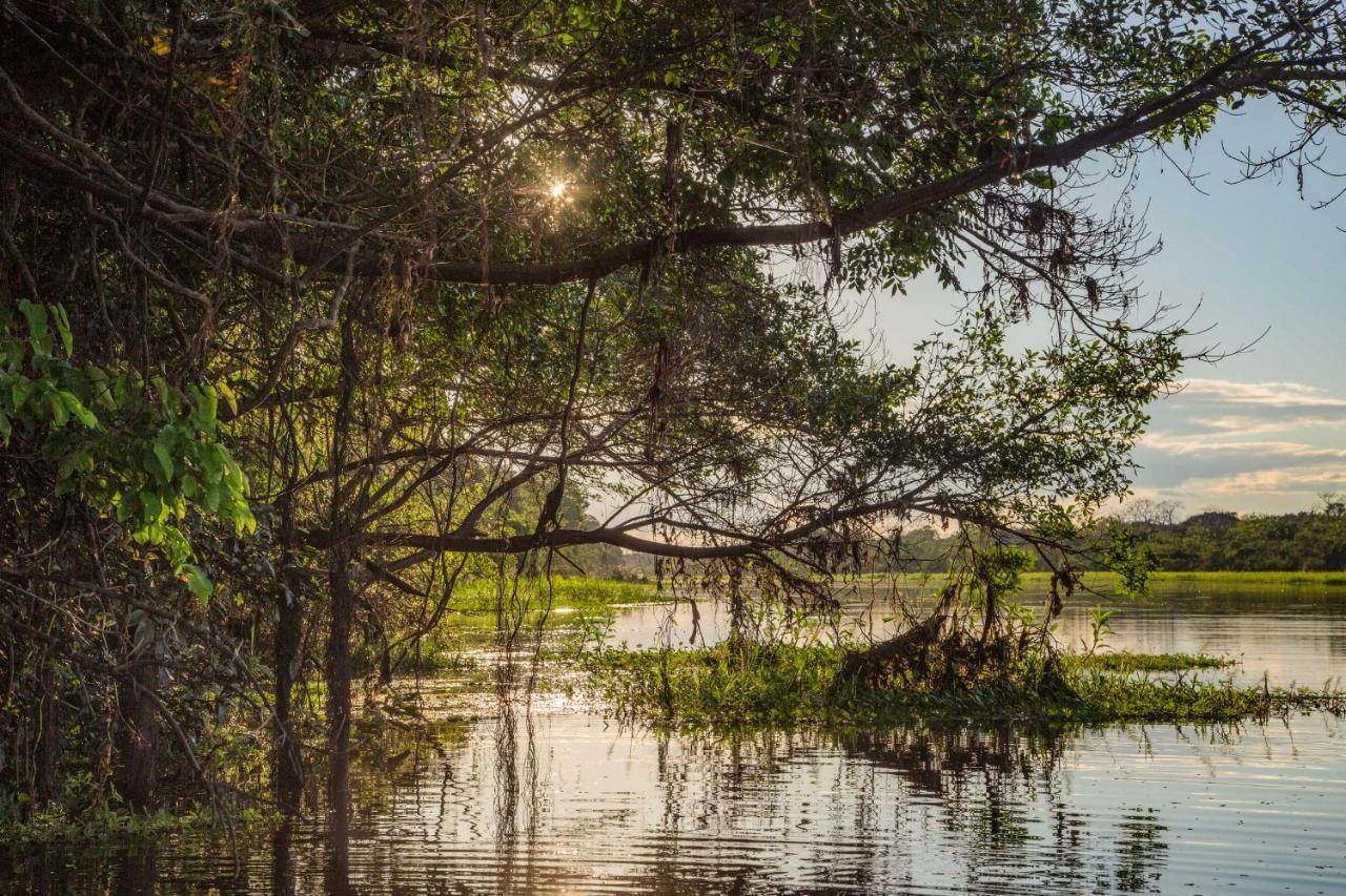 Amazon Muyuna Lodge Paraíso Eksteriør billede