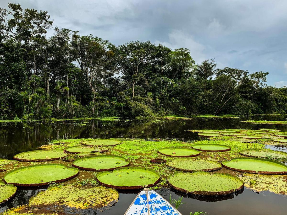 Amazon Muyuna Lodge Paraíso Eksteriør billede